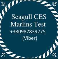 Помощь в здаче тестов для моряков CES,Marlins,Seagull