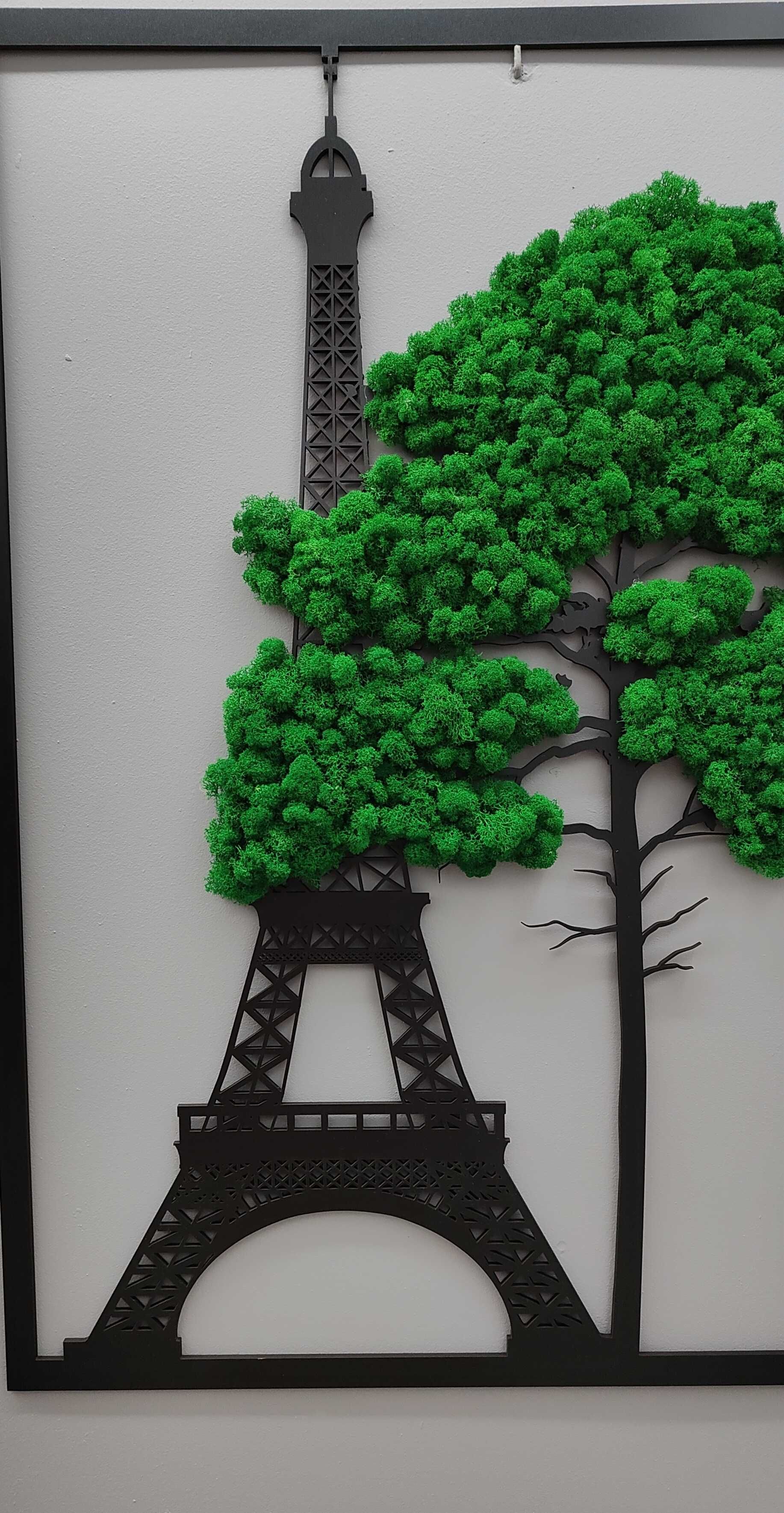Obraz Wieża Eiffla z mchem mech; różne rozmiary piękny Paryż Francja
