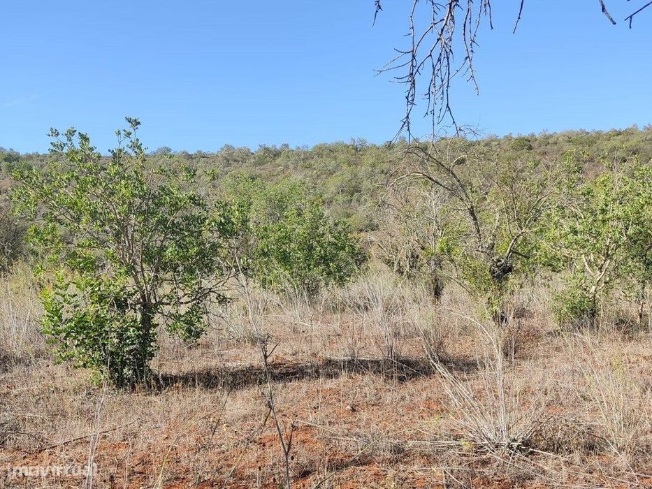 Terreno Rustico com 12 390 m2, Loulé, Algarve