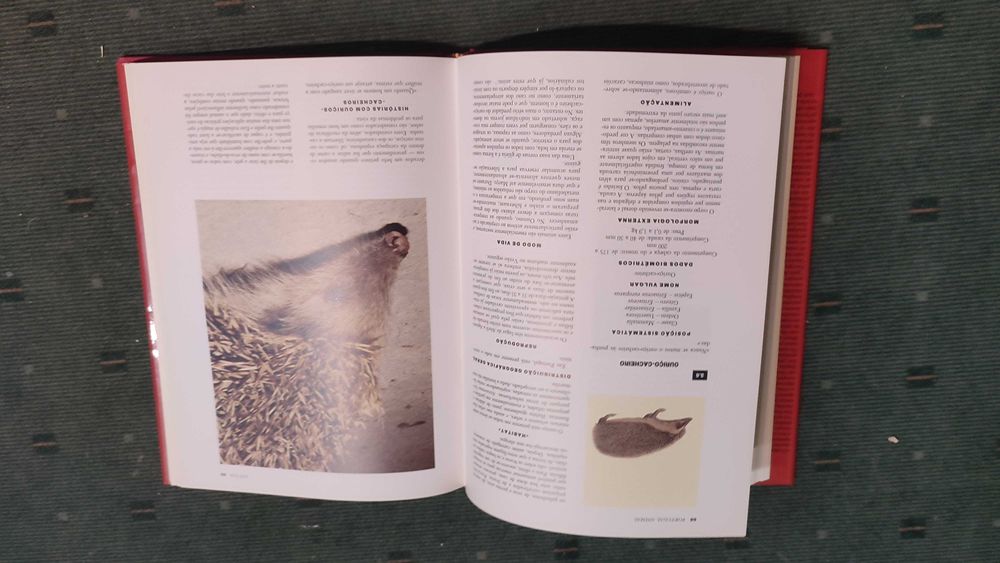 Portugal Animal - Clara Pinto Correia/António José Cidadão