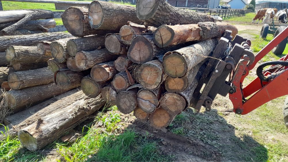 Słupki kołki pale dębowe na ogrodzenie 2 m