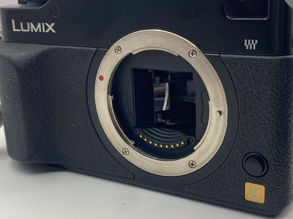 Panasonic L1 + Olympus 50/2 macro