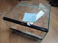 Terrarium 30x30x20