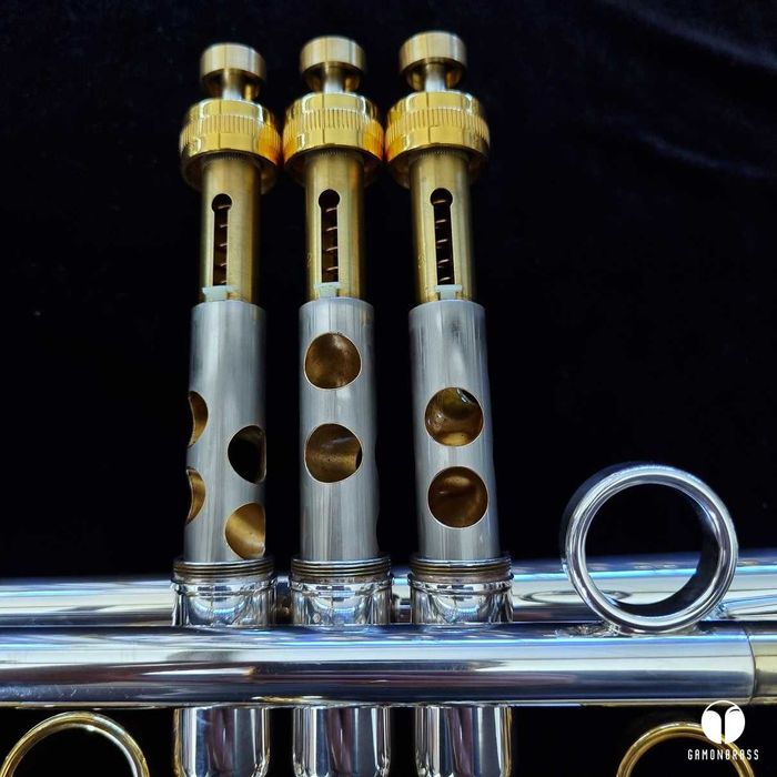 Trąbka Taylor Chicago 46 VR ustnik, futerał GAMONBRASS