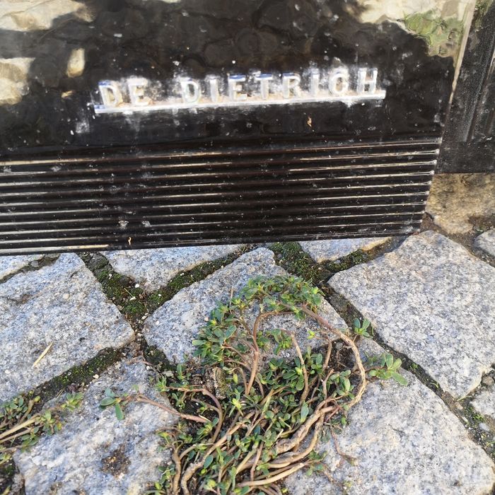 salamandra a lenha para aquecimento