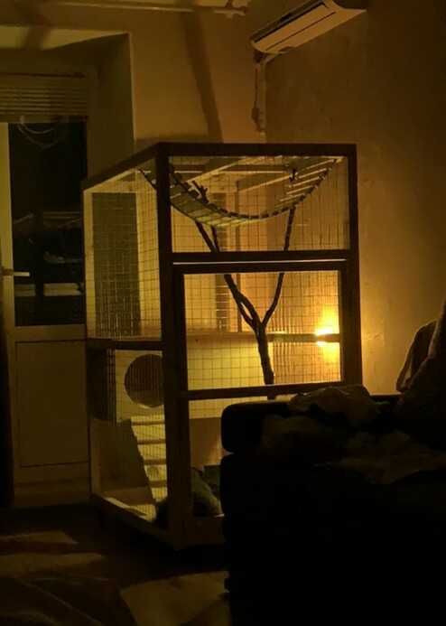 Вольєри для єнота та інших тварин. Виготовлення і продаж в Ваш дім.