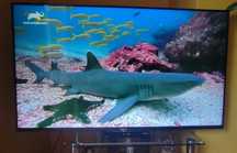 Telewizor Sony Bravia KDL-55W829B