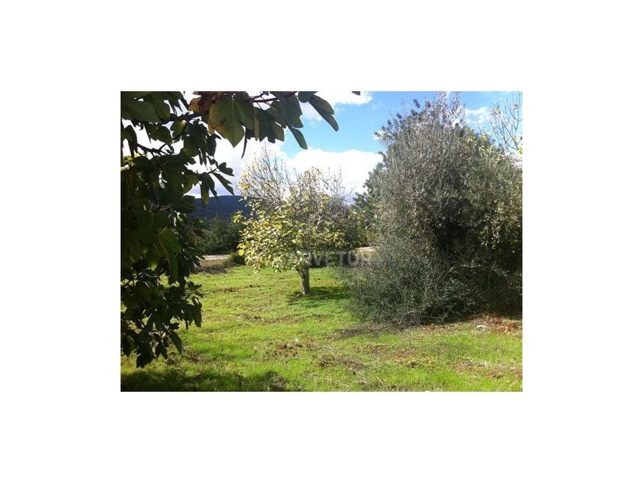 Lote de terreno urbano, Salir, Algarve