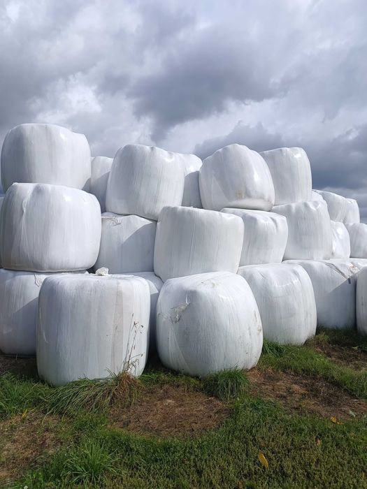 Sianokiszonka tegoroczna