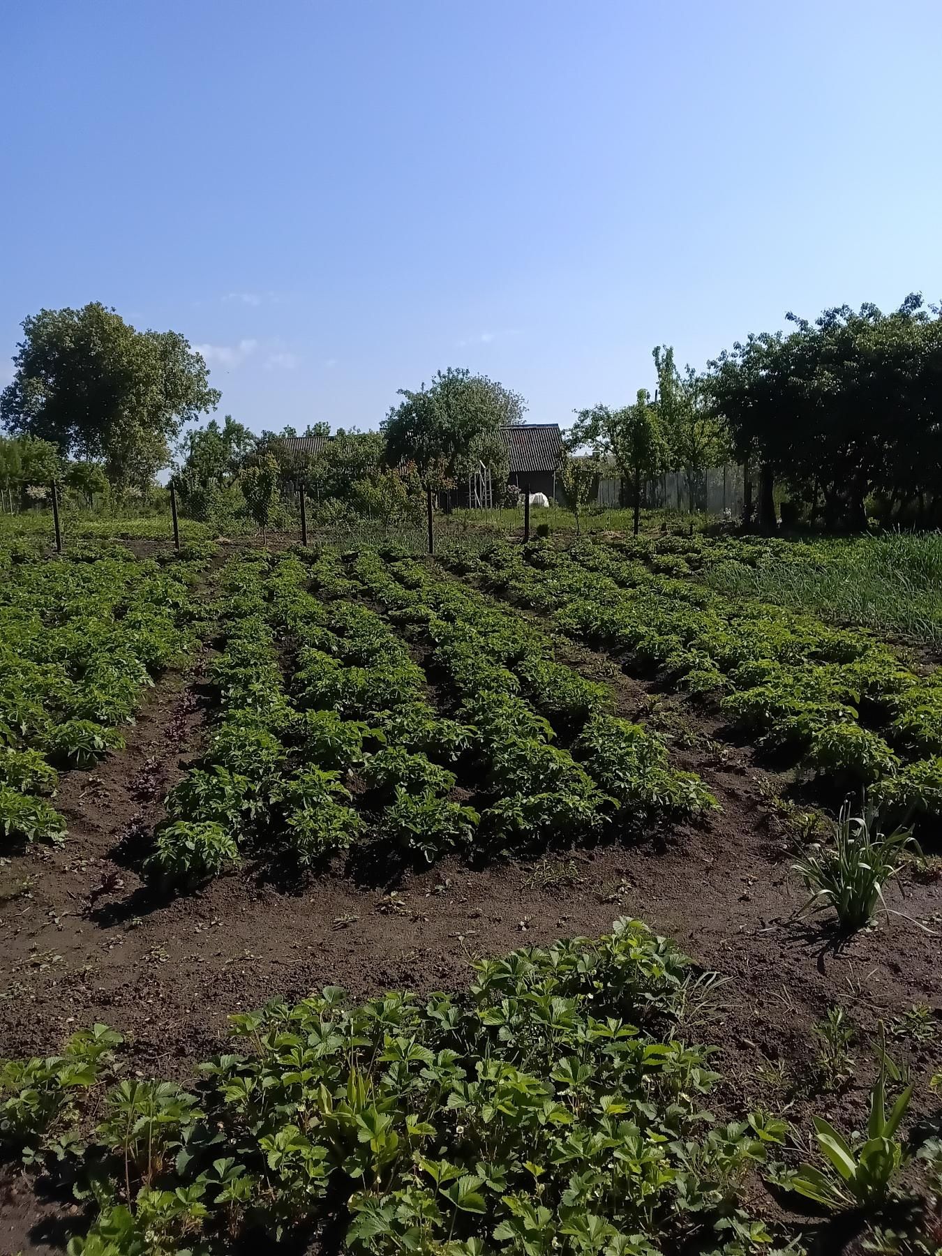 Продам хату в с. Врублівці