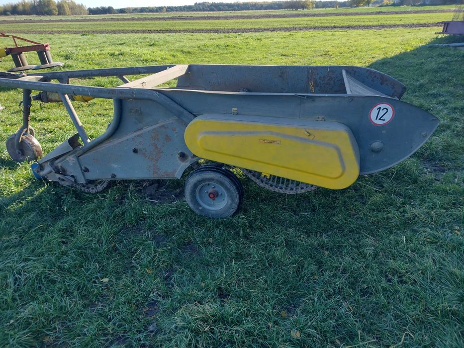 Kopaczka do ziemniaków elewatorowa