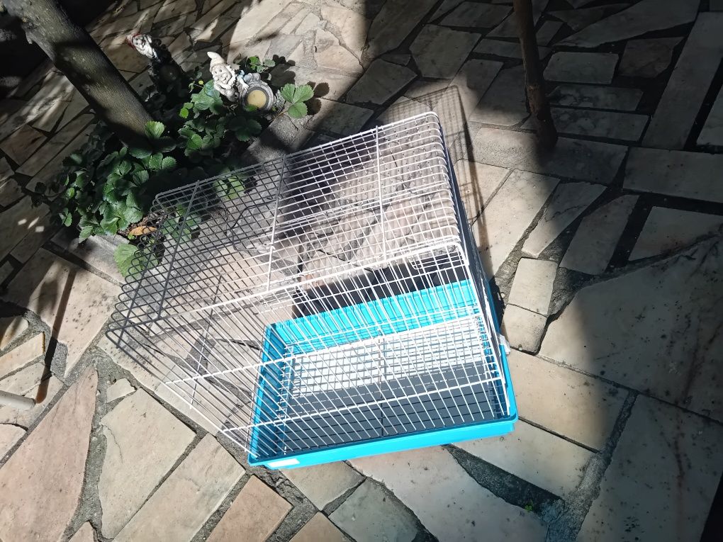 Gaiola para aves