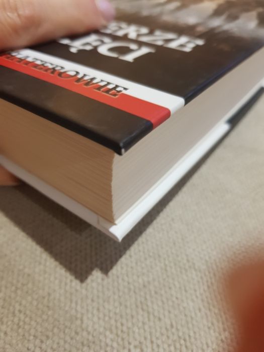 Żołnierze wyklęci książka historyczna