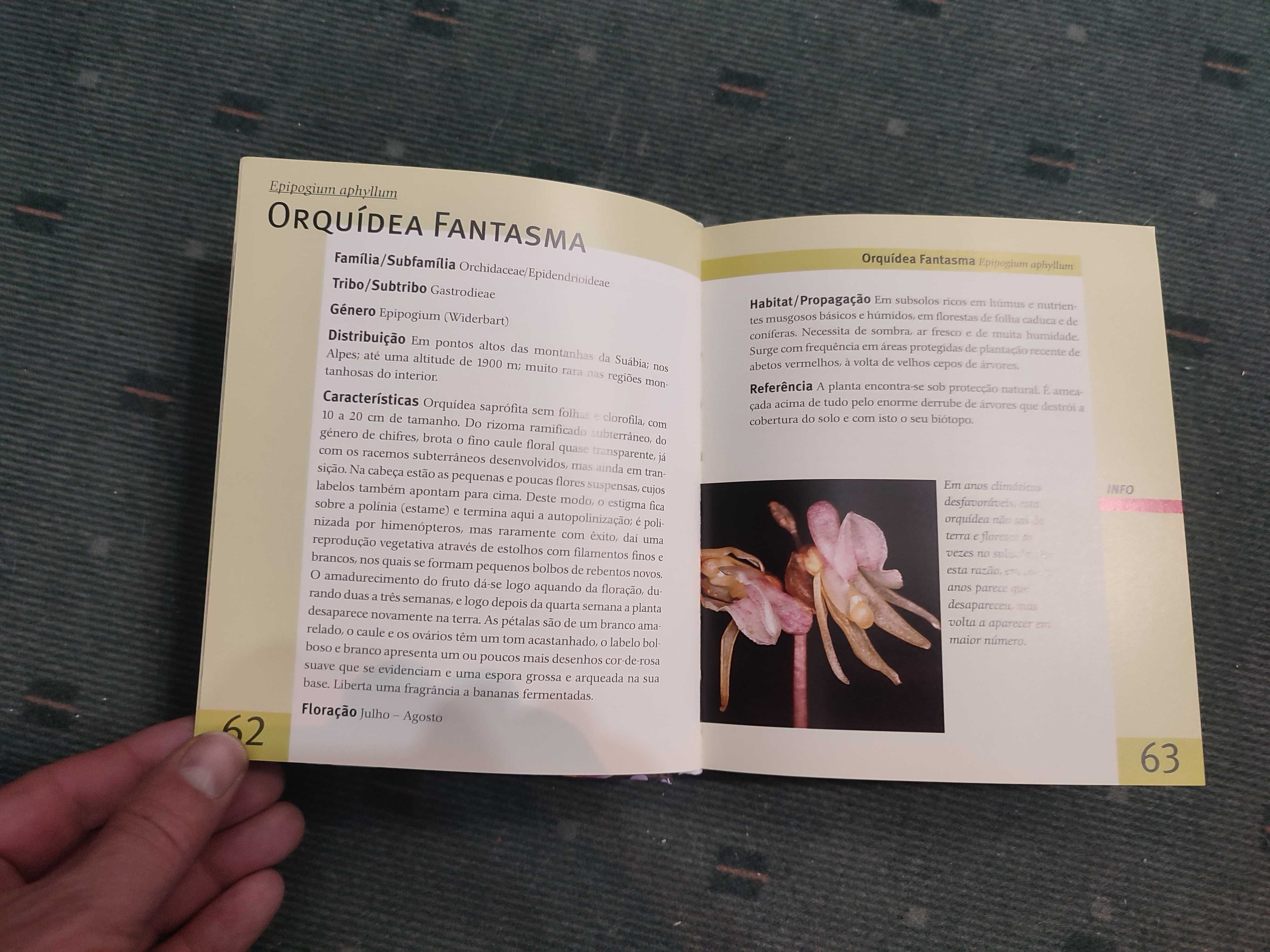 Léxico das Orquídeas