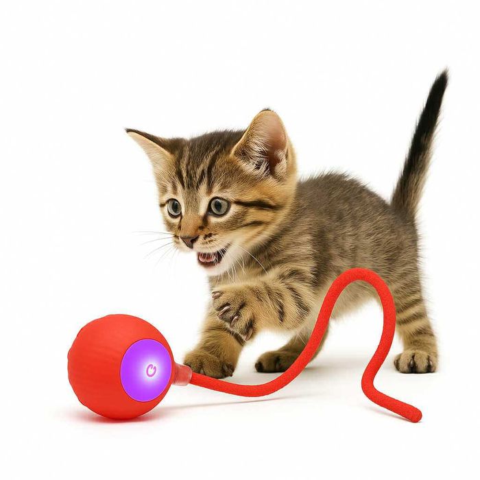 Zabawka dla kota kulka – elektryczna zabawka