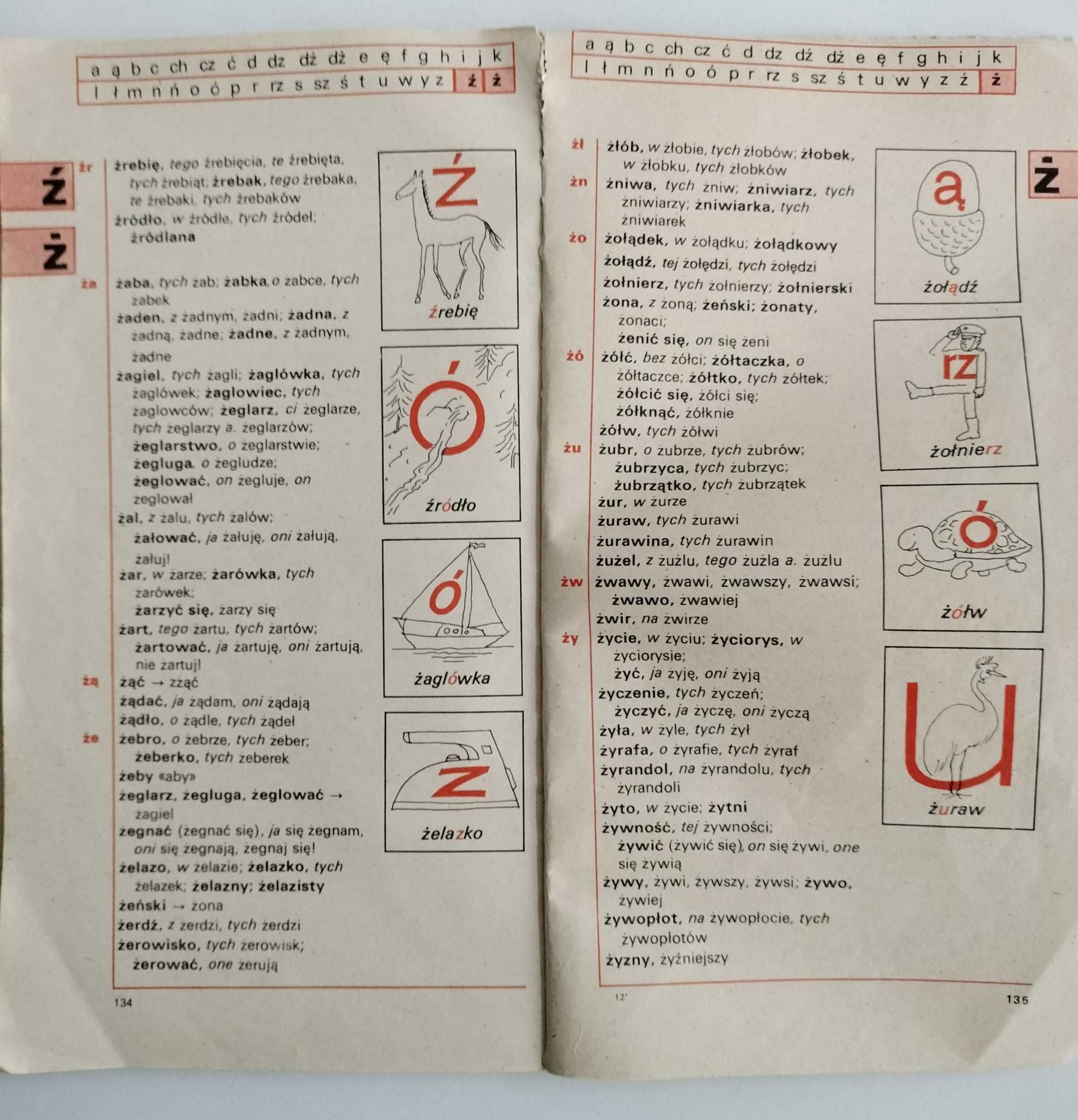 Słownik ilustrowany ortograficzno gramatyczny dla klas I - III