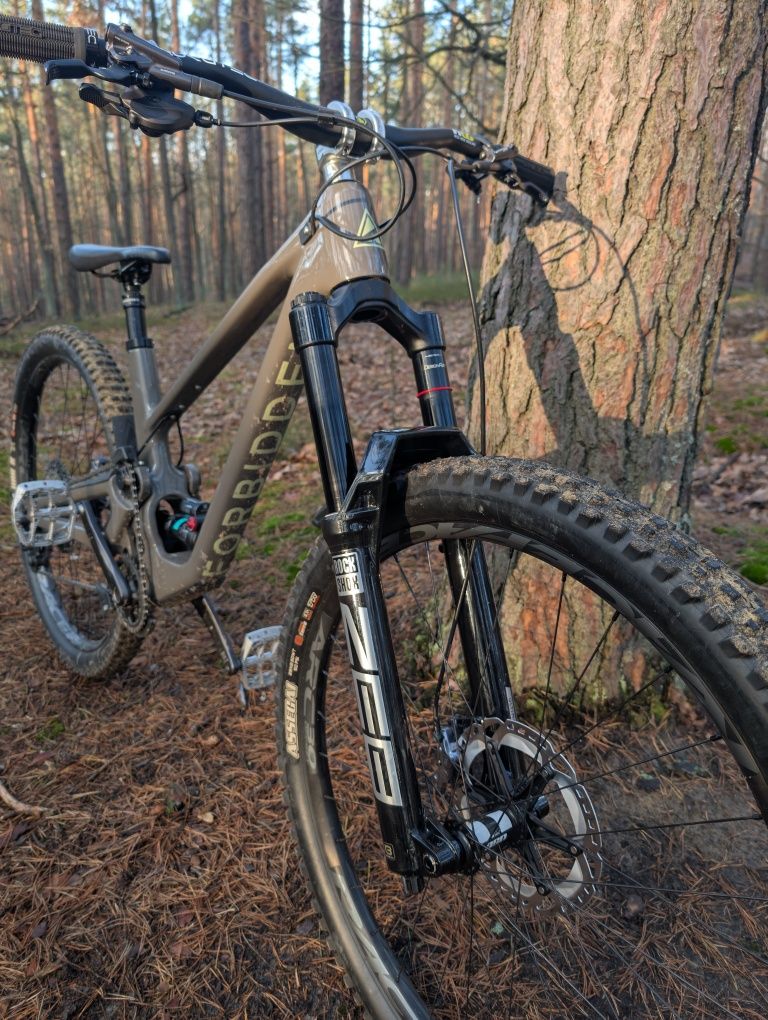 Forbidden Druid 29 L 2021