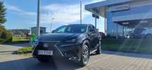 Lexus NX *300*Stan Perfekcyjny*Niski Przebieg 28tyś*2.0 Benzyna*Autoamat*4X4