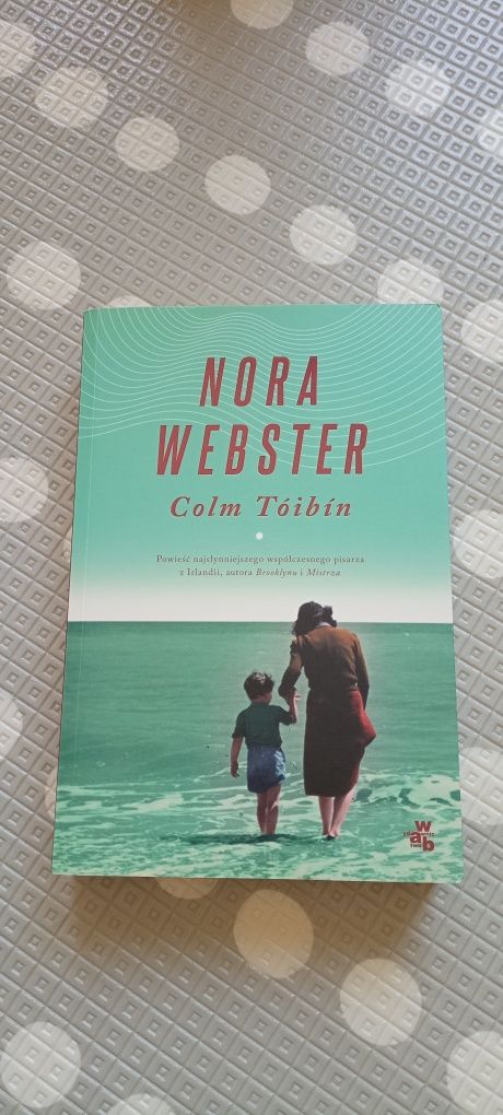 Nora Webster Colm Tóibin