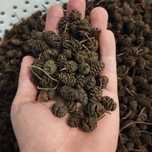 Szyszki olchy czarnej 0.5kg