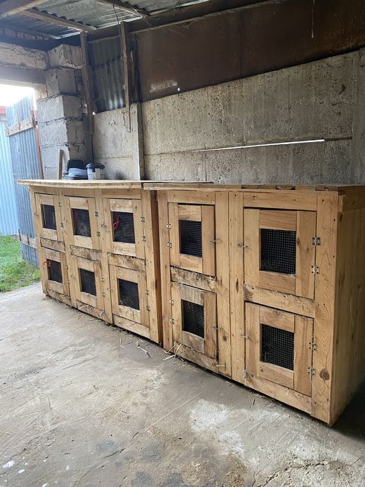 Klatki dla królików