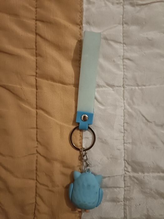 Portas chaves coruja cor azul ( Portes Grátis)