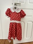 Vestido carnaval Joaninha 5 anos