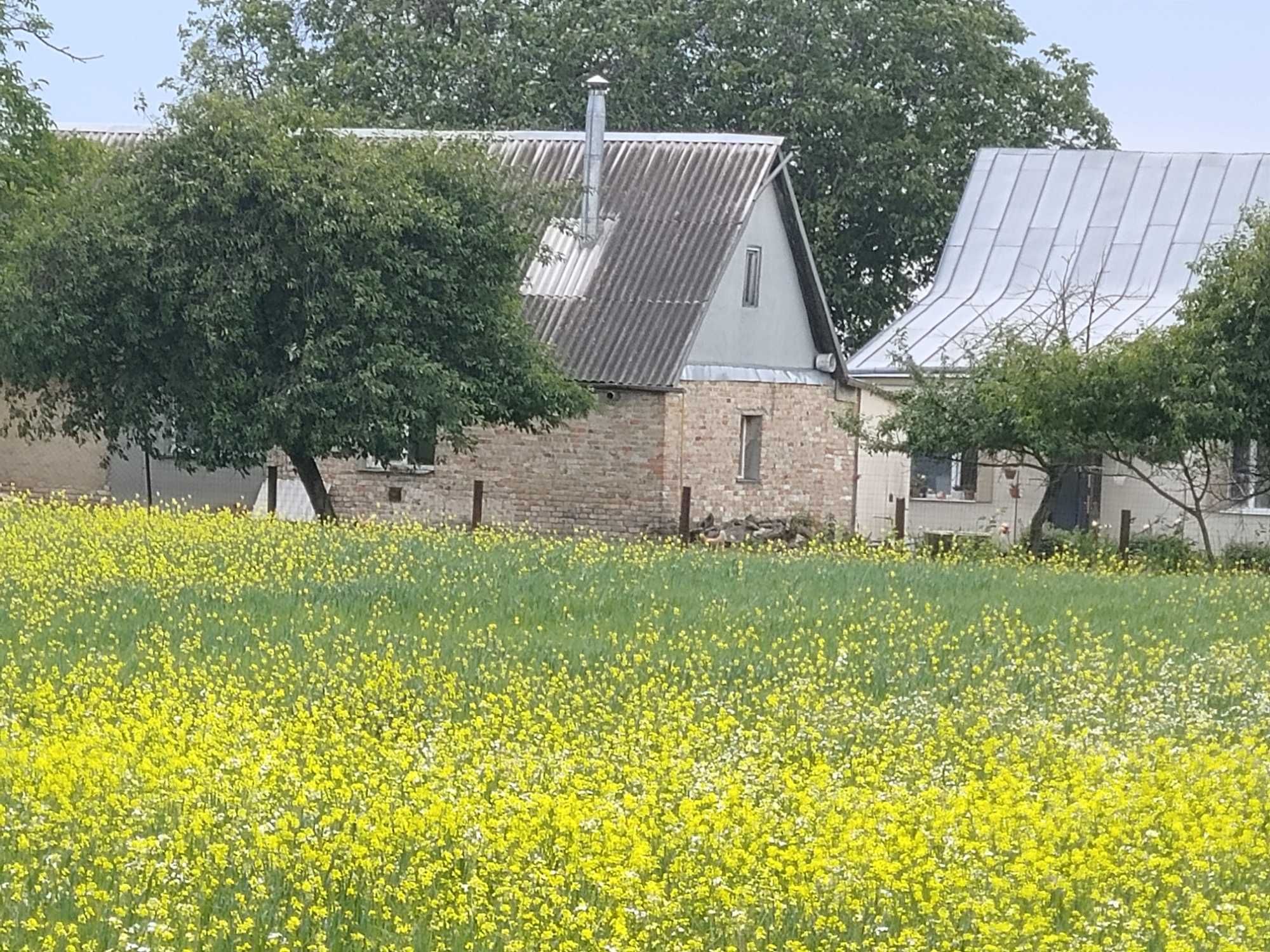 ДІЛЯНКА ВІД ОЛЕКСАНДРА!  В.Омеляна 34, під забудову.Комунікації поряд
