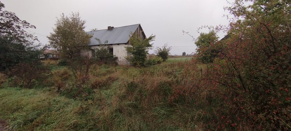 Sprzedam siedlisko działkę