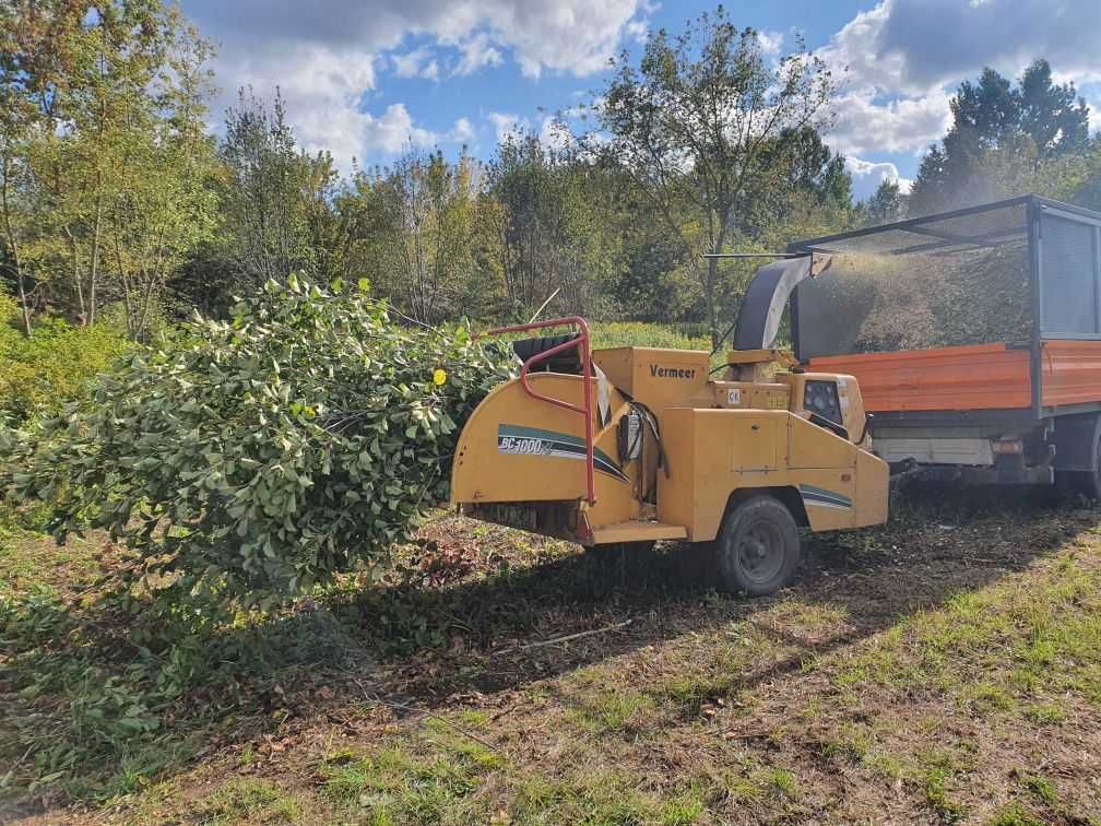 Wycinka drzew Jachranka i okolice, rębak do gałęzi, podnośnik, mulczer
