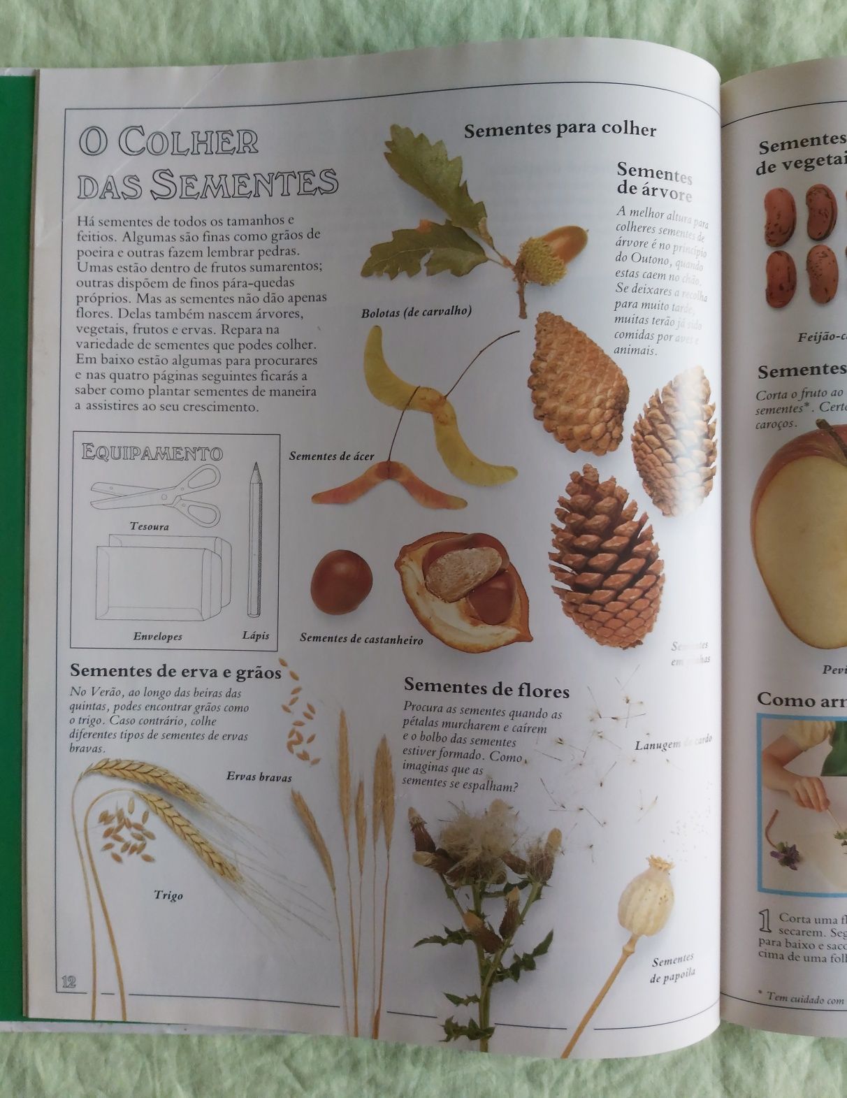 O meu primeiro livro da natureza