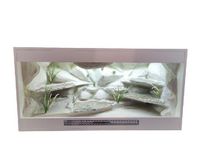 Terrarium 120x60x60 dla Agamy brodate.