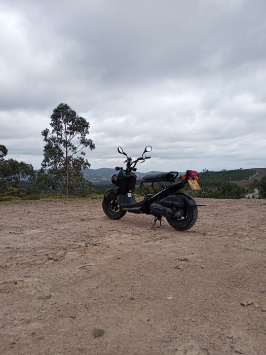 Honda zoomer 50cc 2005