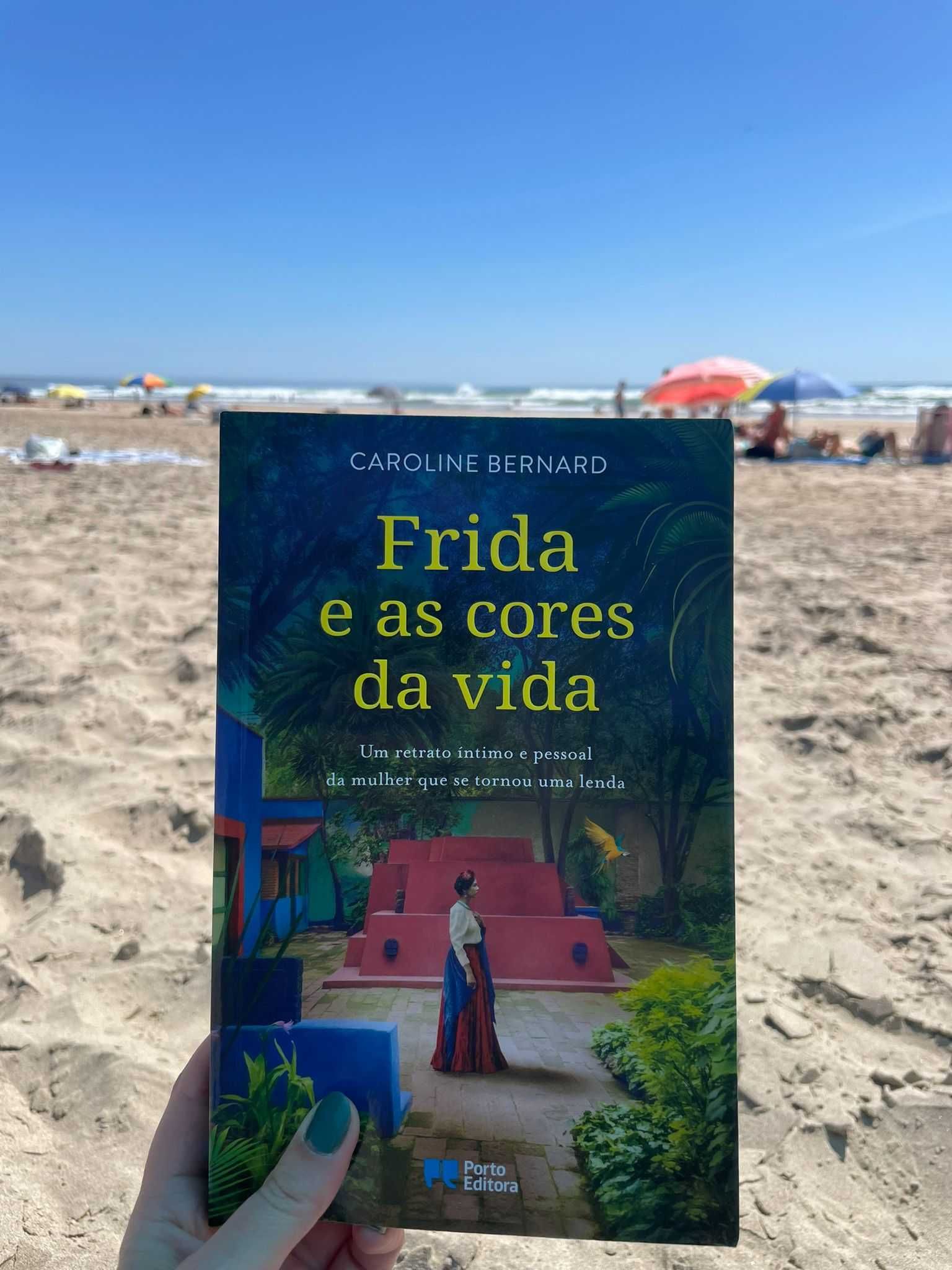 Frida e as cores da vida (livro em ótimo estado)