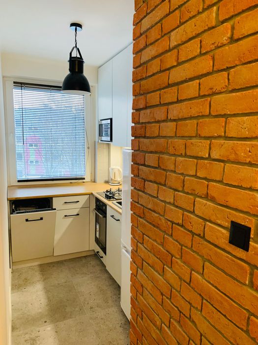 Mieszkanie w Mikolowie w stylu loftowym do wynajęcia