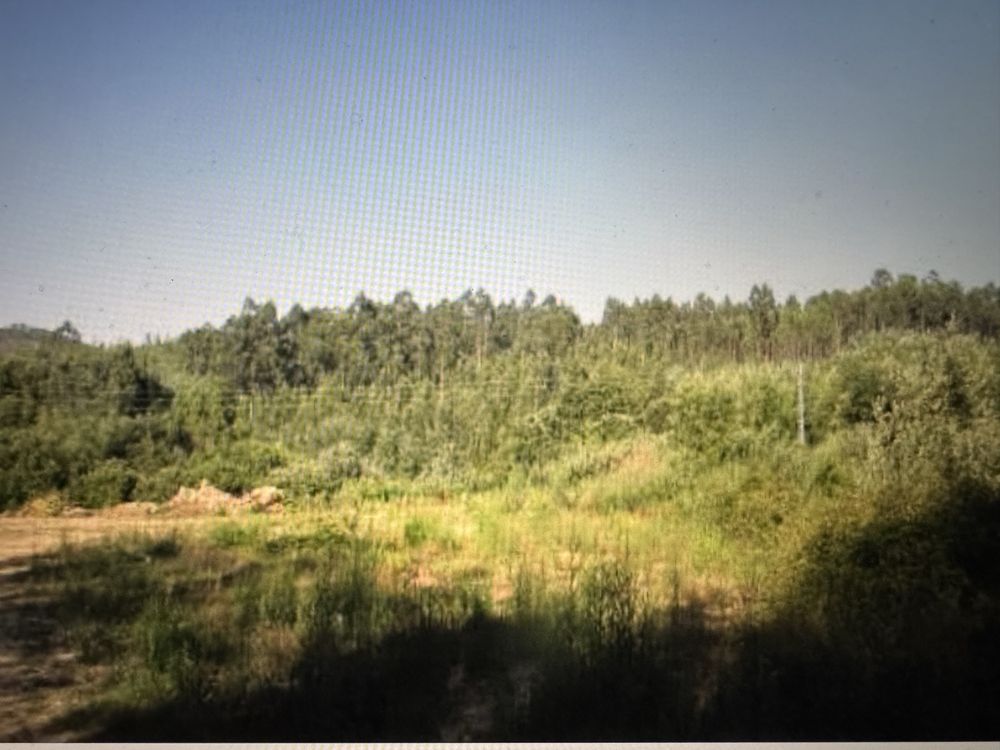 Terreno Rustico em CAMPNHA de valor ,com quase 25000m2