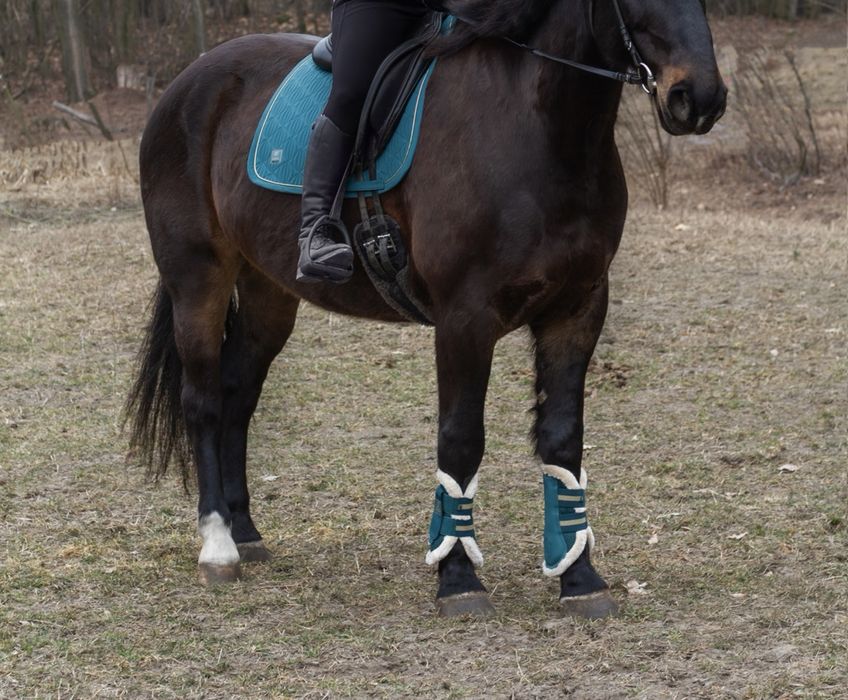 Ochraniacze Eskadron Vintage green L