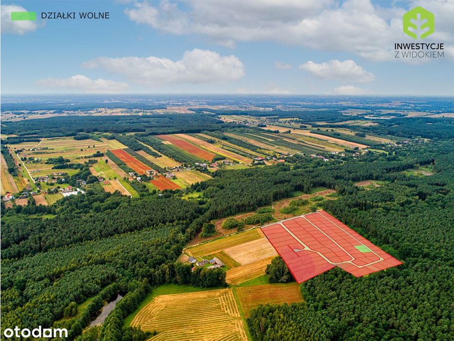 Ostatnie działki w tej cenie - 55 min od Warszawy