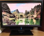 Монитор Dell U2410 + саундбар в подарок.
