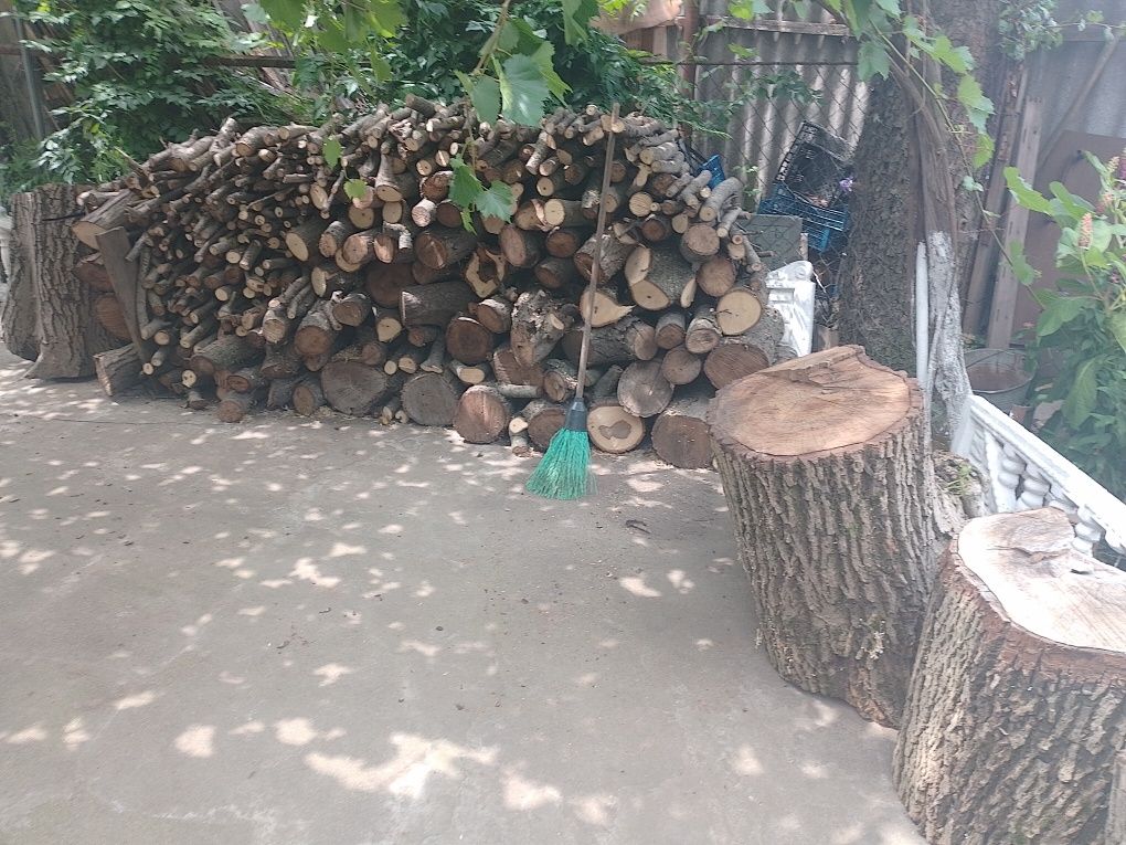 Продам дрова з великого  горіха