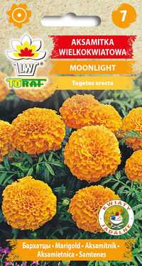 Aksamitka wielkokwiatowa Moonlight pomarańczowa 1g TORAF
