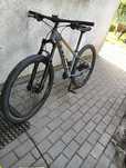 Rower trek marlin