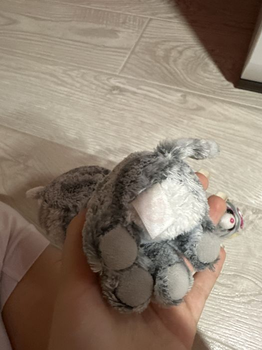 Ty глазастики кішки