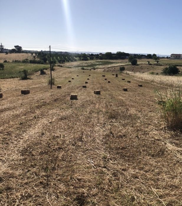 Fardos de feno da ultima epoca