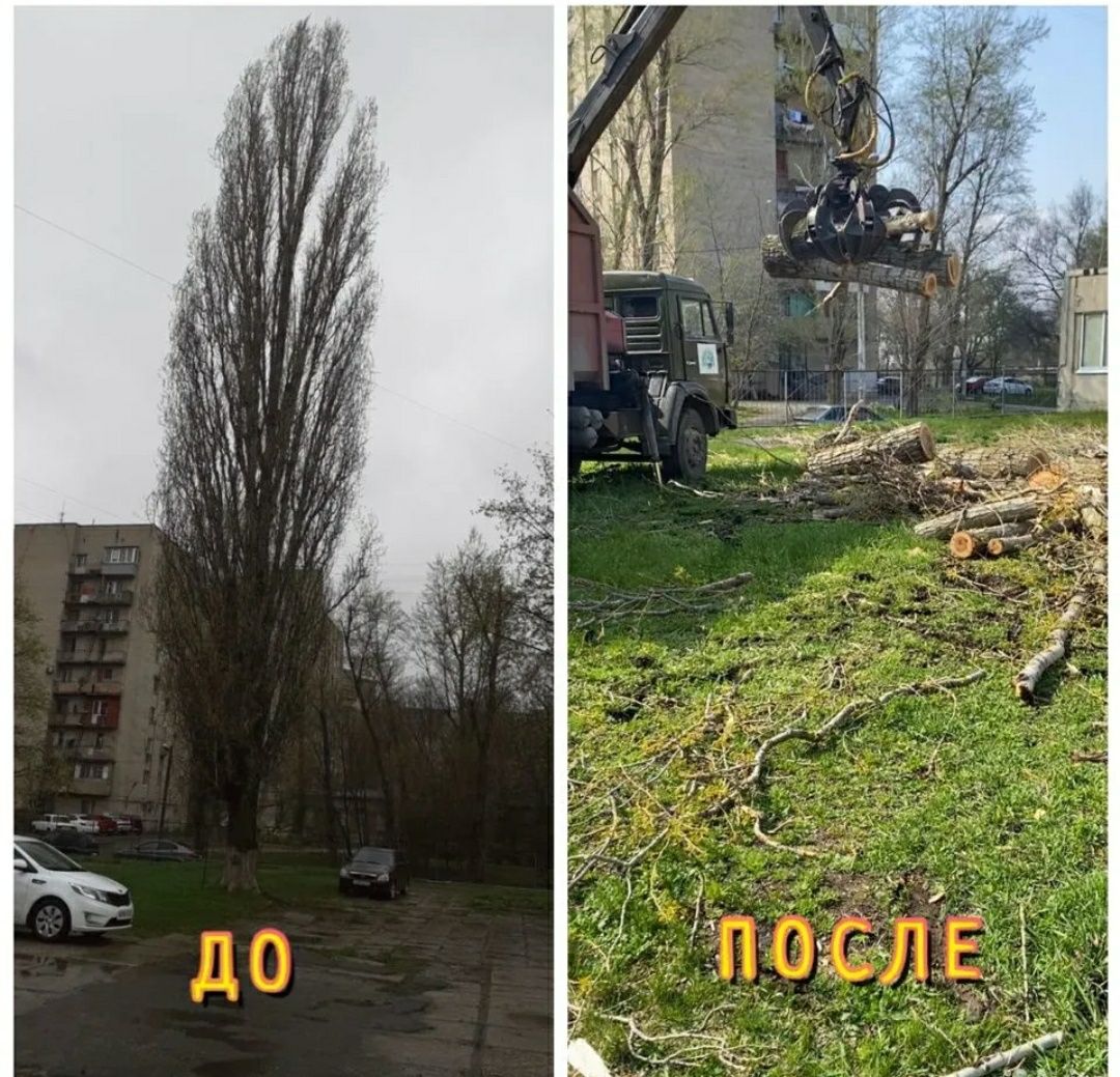 Спил деревьев дёшево Обрезка Удаление Валка