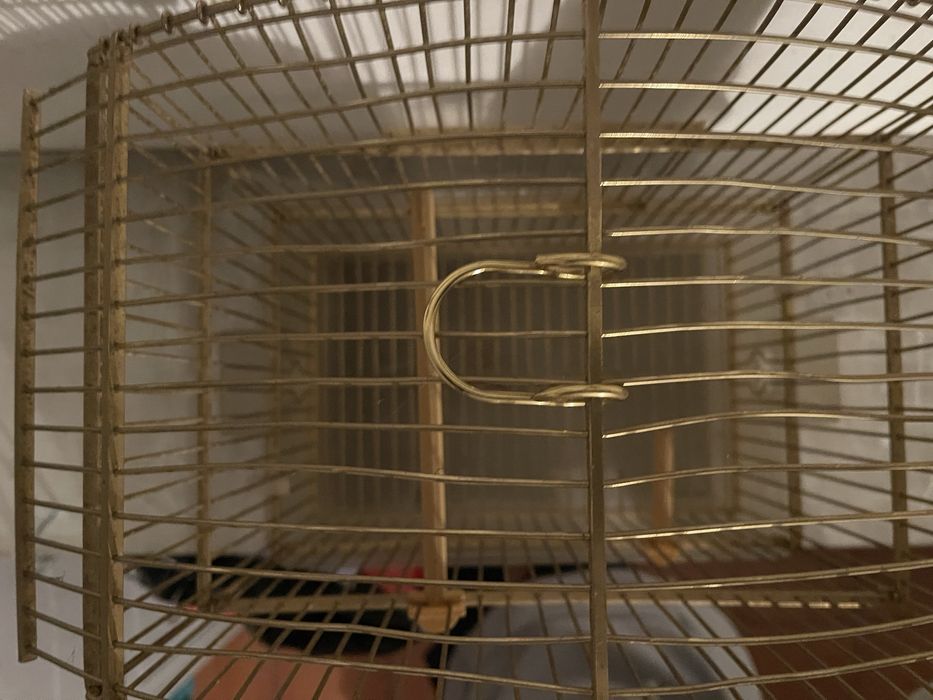 Gaiola dourada I nunca usada