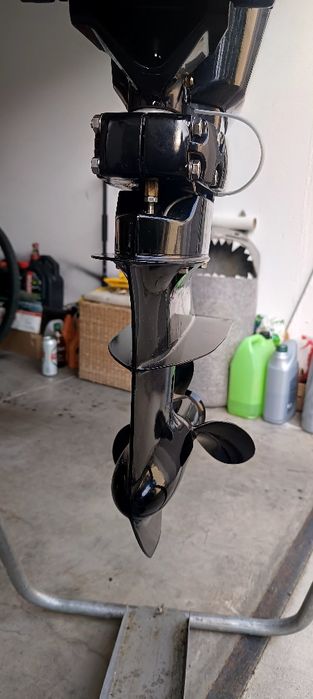 Silnik zaburtowy storm f25