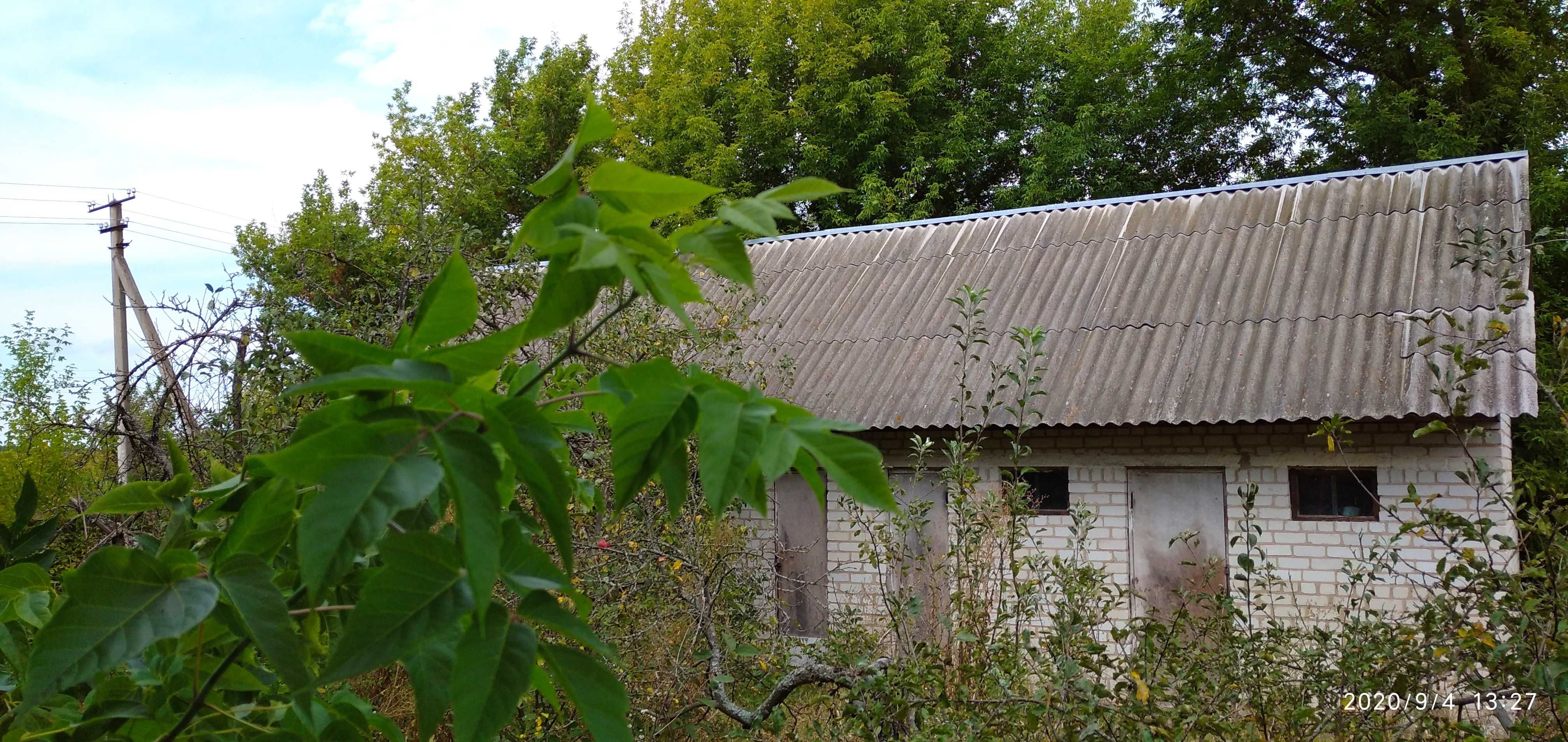 Королівка, 40 соток, 2 дома Попельнянський район, Житомирська обл