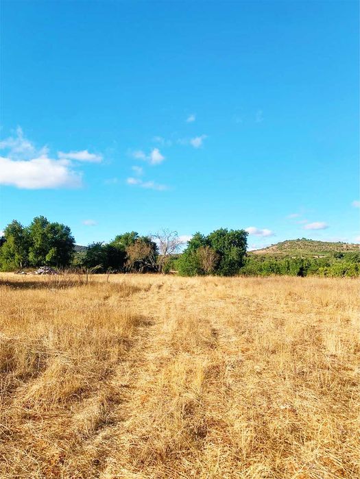 TERRENO RÚSTICO À VENDA EM BENACIATE – ALGARVE, A 20 MIN DAS PRAIAS!