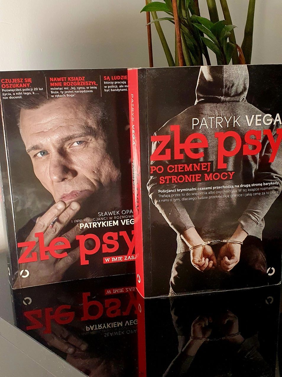 Dwie książki P.Vega Złe psy